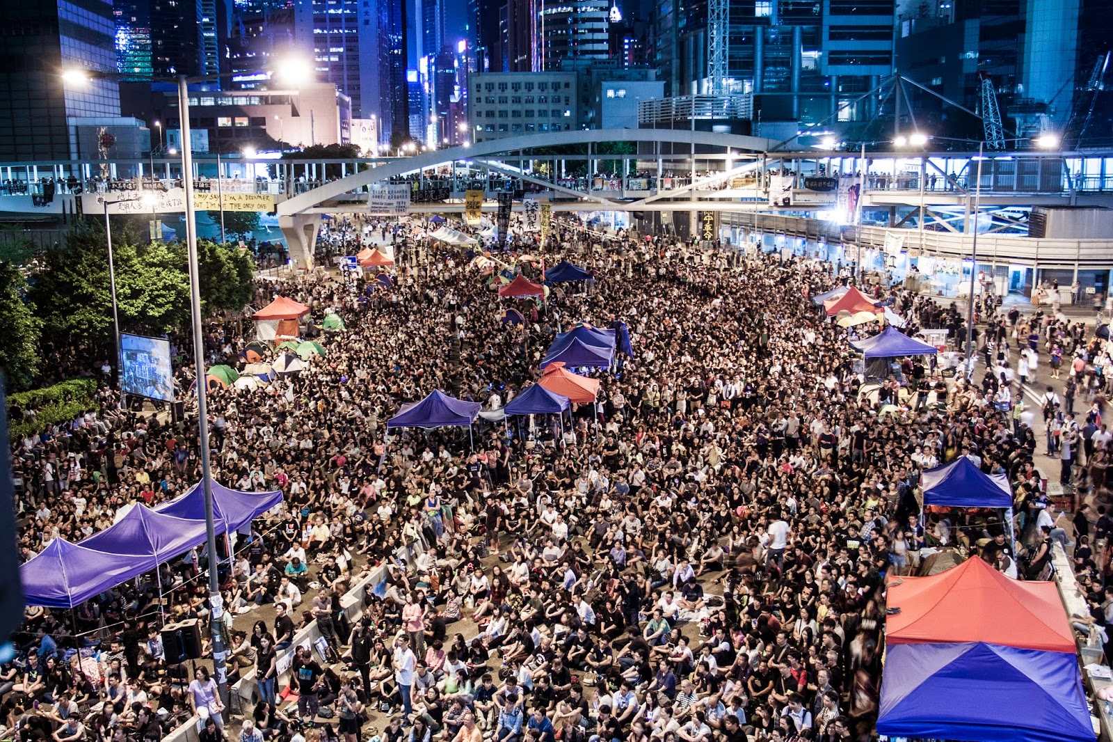 我看香港雨傘革命