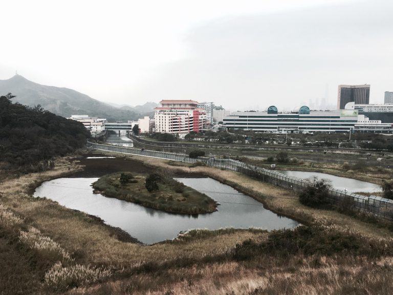 沙嶺一河之隔就是深圳