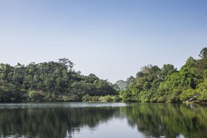 流水響水塘塘邊一角