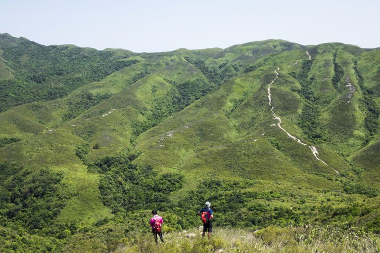 龜頭嶺 ,回望背後的屏風山