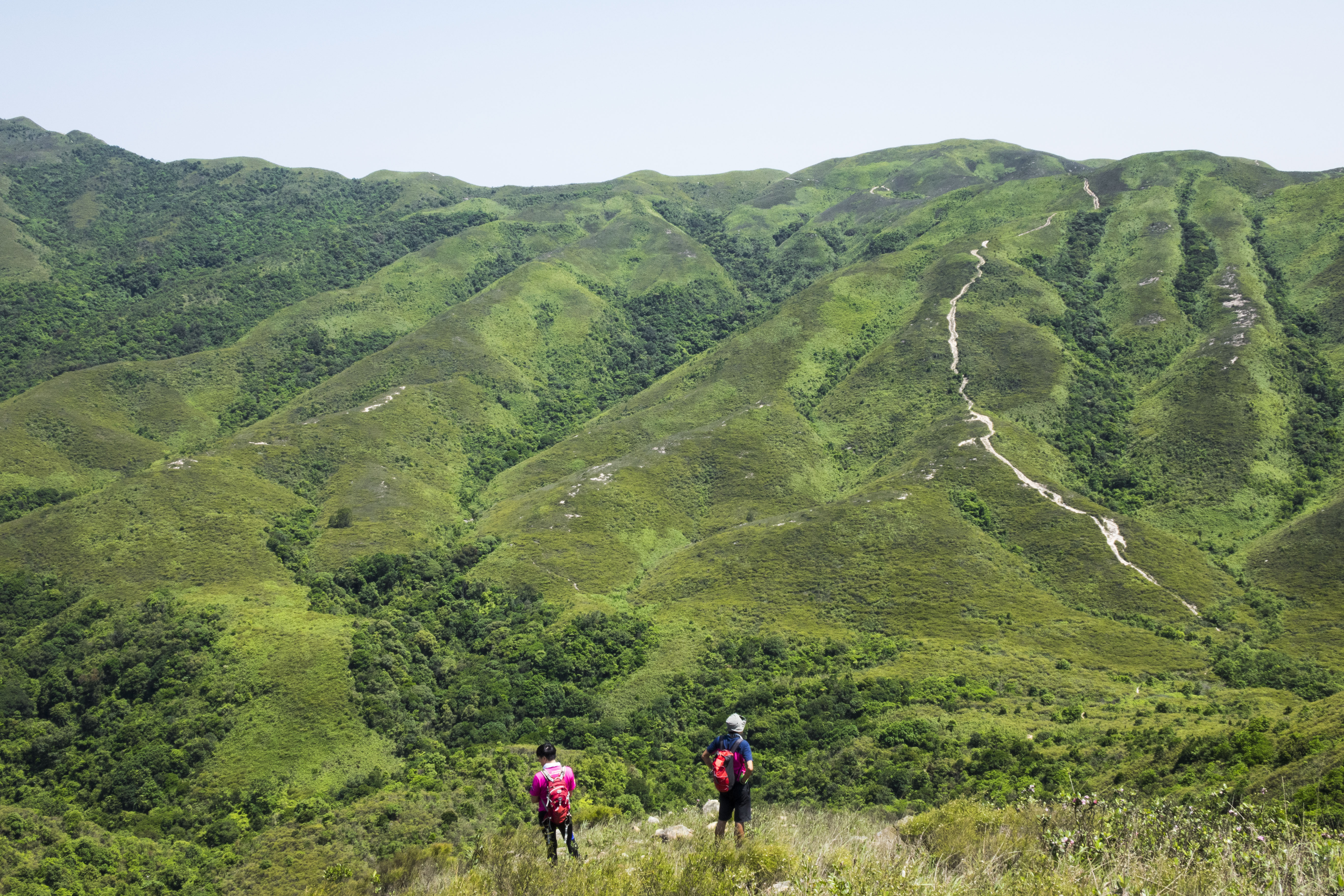 【週末行山】 中伏之旅 – 走上龜頭嶺