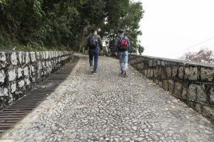 登山之路很好走，全程都是用小石子平整好的山路。