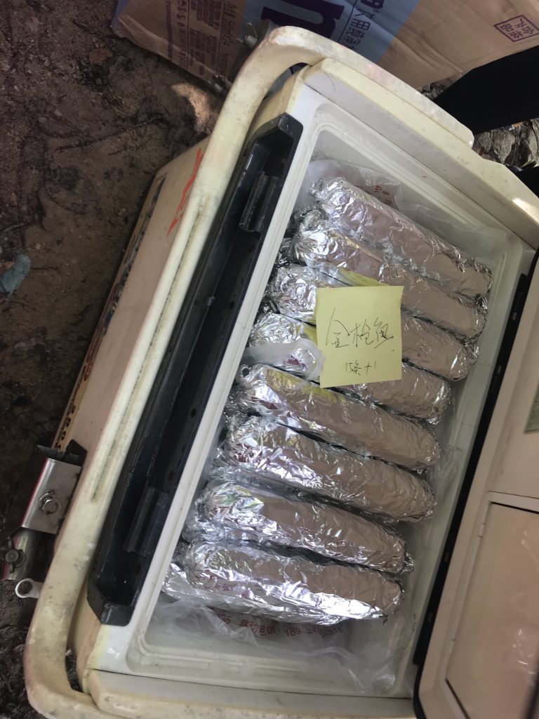 壽司源源不絕