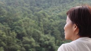 酒店房間內看出去只見一片寧靜的樹海。