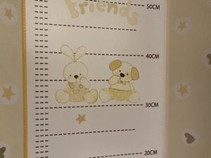 室內有兩張換片床