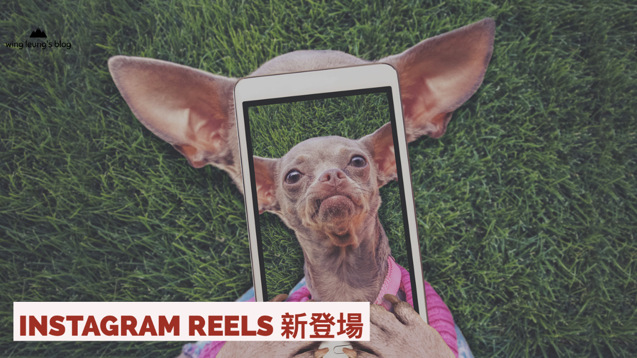 Instagram Reels 新登場！如何用來推廣？它有什麼獨特之處？