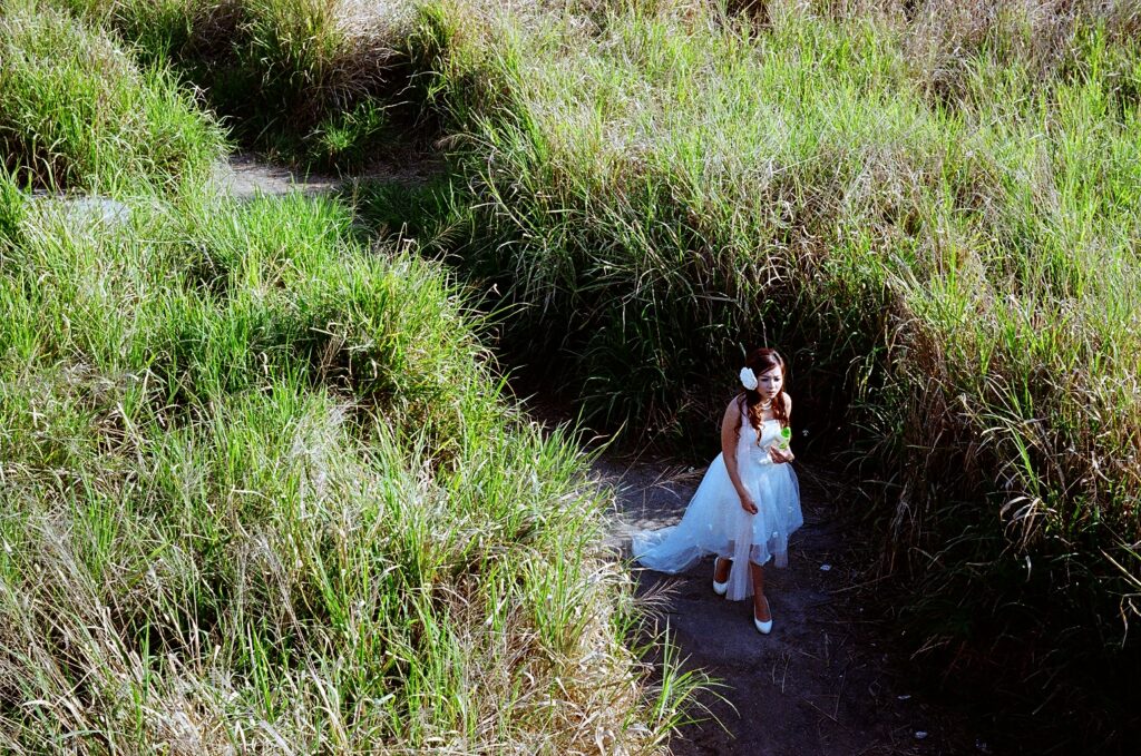 菲林拍攝 2011年 南生圍 Canon EOS 3 Kodak Golden 200