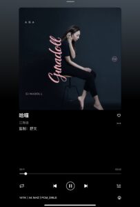 DS Player 播放歌曲的介面