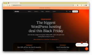 Kinsta WordPress Hosting Service Black Friday Promotion
